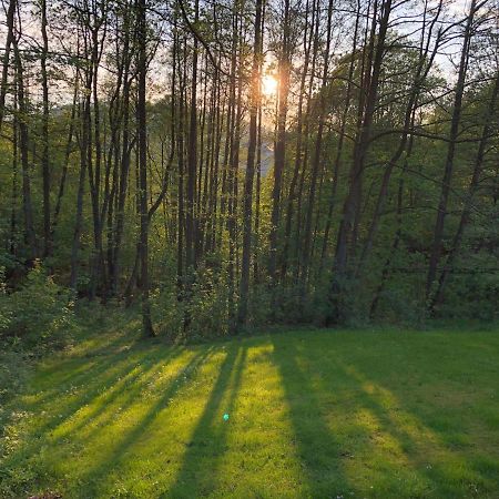 Ferienchalet-Floesswehrtal Bad Lauterberg Exteriér fotografie